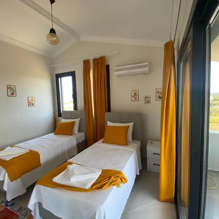 Vılla Ala Villa *